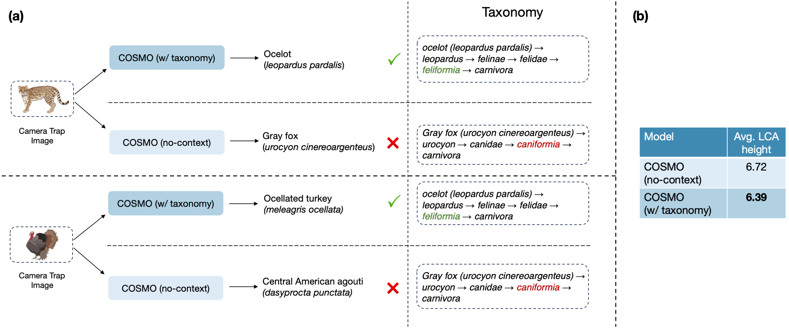 Taxonomy-aware model results in more plausible predictions