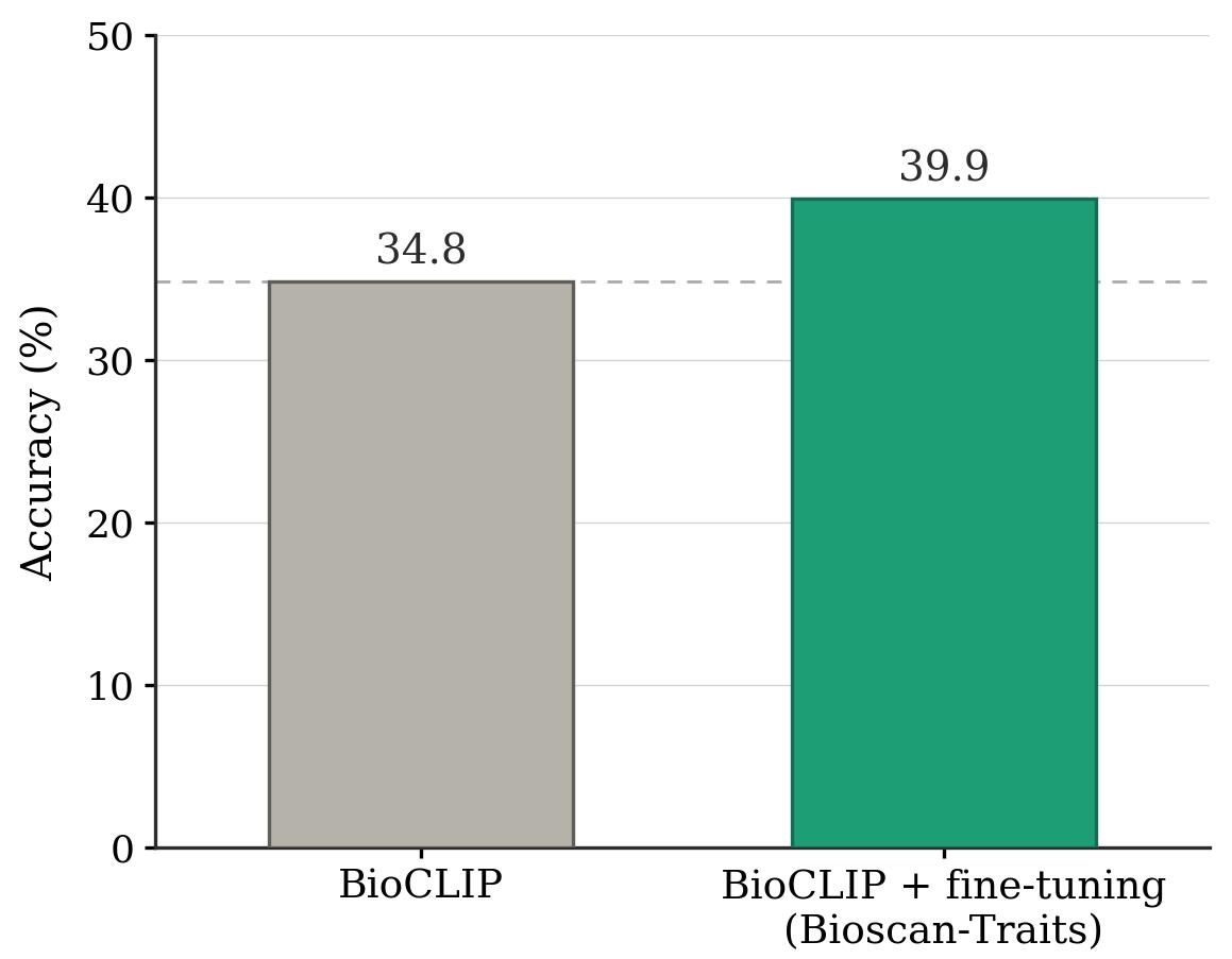 BioCLIP fine-tuning results on Bioscan-Traits