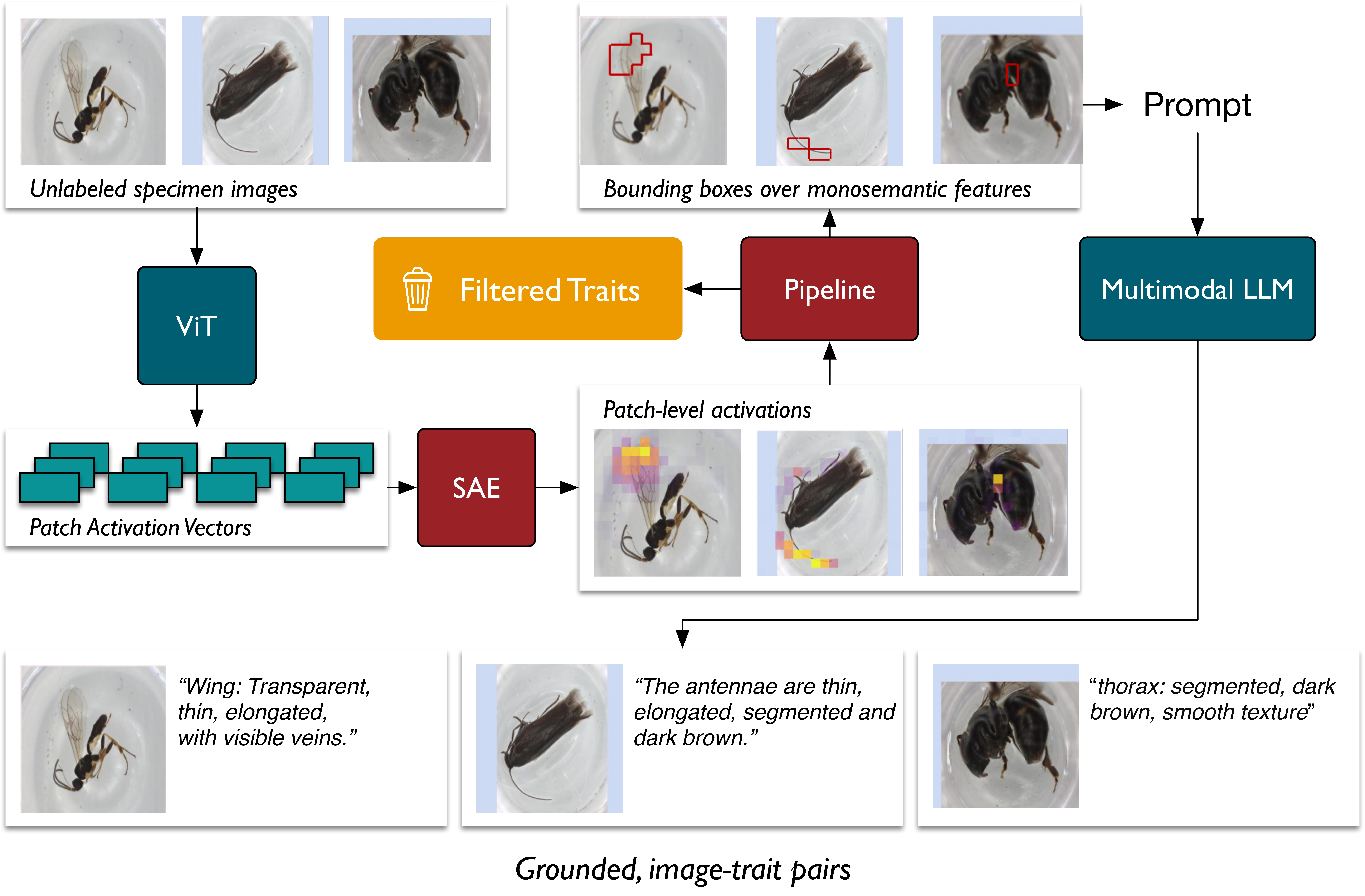 Trait annotation pipeline overview